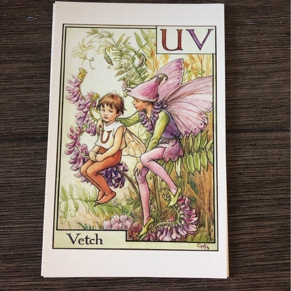 Garden Flower Fairies by: Cicely Mary Barker postcard set #12 - Picture 5 of 7